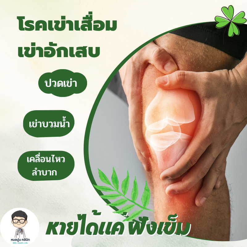 โรคข้อเข่าเสื่อม